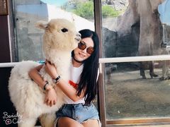 -新疆天山野生动物园