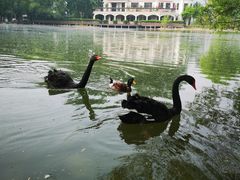 -蓝地时尚庄园(北京清河营地铁站店)