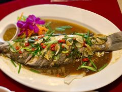 -Daddy Nimman Chiang Mai