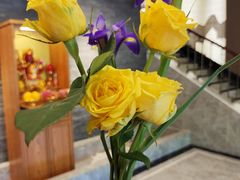 -华夏良子·足道SPA艾灸(铁道大厦店)