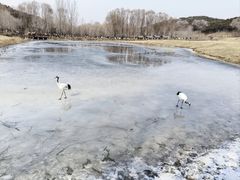 -沈阳森林动物园