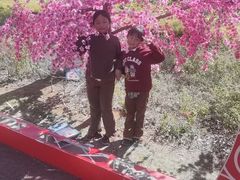 -世界恐龙谷景区