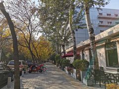 -三里屯东五街银杏大道