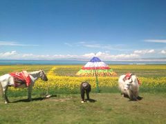 -青海湖国家重点风景名胜区