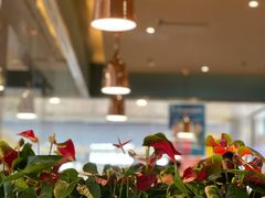 -COSTA COFFEE(水游城店)