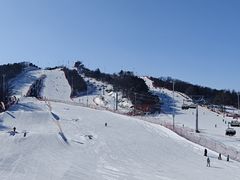 -东北亚滑雪场
