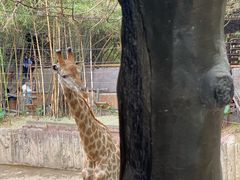 -长鹿旅游休博园