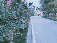 -武汉紫薇都市田园