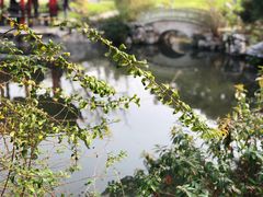 -杭州西湖柳莺里酒店·闻莺厅