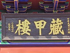 -仓颉陵遗址