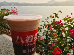 -八婆婆烧仙草(中山路店)