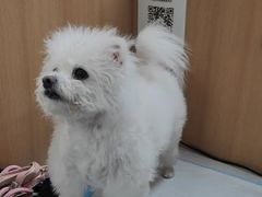 -联合动物医院(光谷诊疗中心)