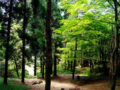 -庐山风景区花径公园