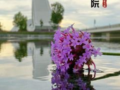 -哈尔滨大剧院