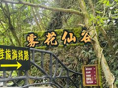 -夏霖九天银瀑风景区