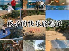 -泉州海丝野生动物世界