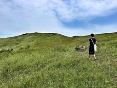 -恋山坝上草原