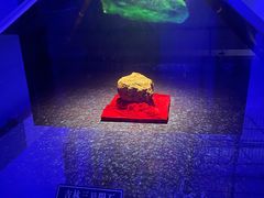 -吉林市博物馆