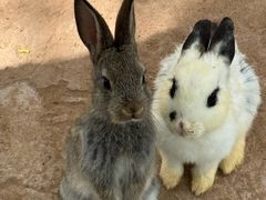 -鄂尔多斯野生动物园