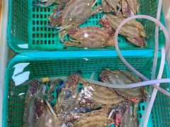 -胖子饺子馆·海鲜家常菜(海军博物馆店)