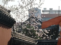 -长春观