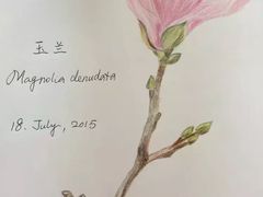 -鼎画艺术机构(贵都店)