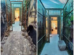 -北京动物园-畅观楼