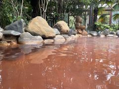 -张家港金凤凰度假村温泉