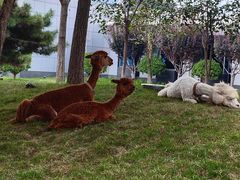 -东方时尚驾校摩托车考试场