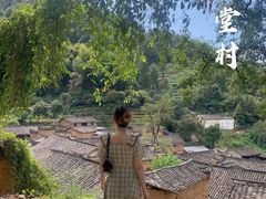 -杨家堂村