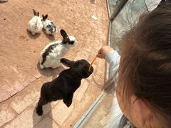 -鄂尔多斯野生动物园