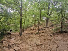 -紫金山山顶公园