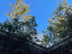 -北京益泉花园酒店
