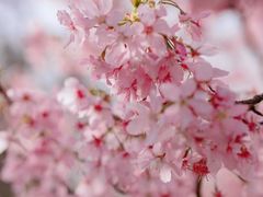 -红辣椒·川菜·火锅(大洋中心店)