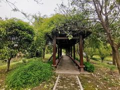 -鹅湖玫瑰文化园