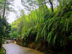 -南昆山川龙瀑布