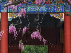 -北京国子监胡同