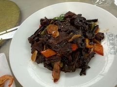 -京北渔家傲