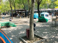-杨柳青庄园