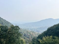 -韬光茶庵