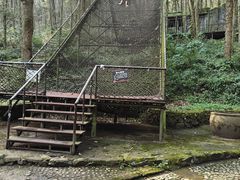 -富春桃源风景区