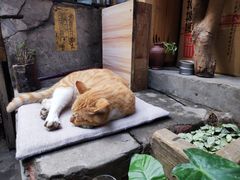 -悟饮门市景店