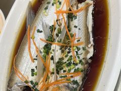 -丹水桥地锅鱼·翘嘴鲌·地方特色全鱼宴(丹江口大坝店)