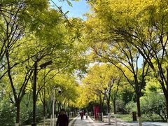 -南翠屏公园