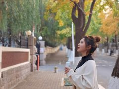 -八大关景区