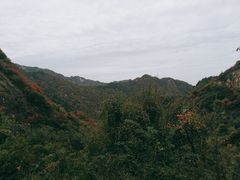 -秦岭终南山世界地质公园翠华山景区