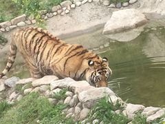 -西安秦岭野生动物园