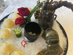 大花龙虾-欢乐海岸美食联盟