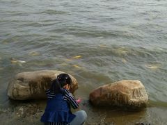 -武清南湖绿博园