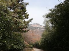 -石老人观光园